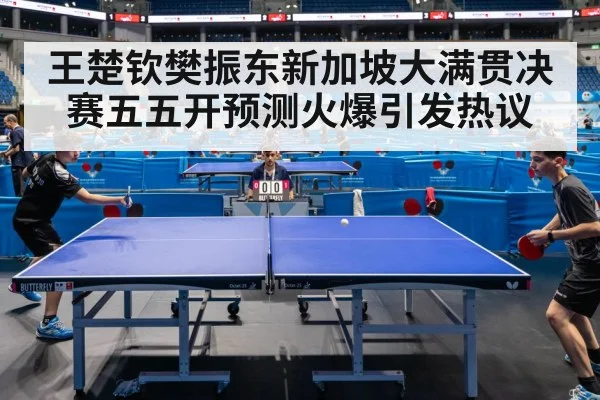 Fan Zhendong table tennis match